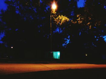 Illuminated trees against sky at night