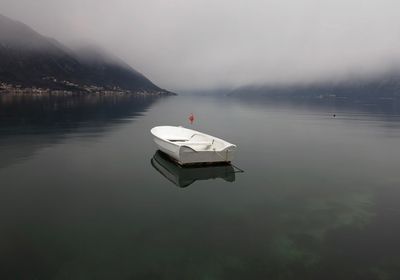 Swan floating on lake against sky