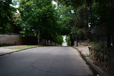 Empty road along trees in park