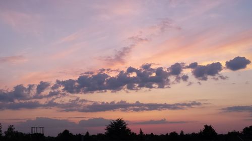 Silhouette of trees at sunset