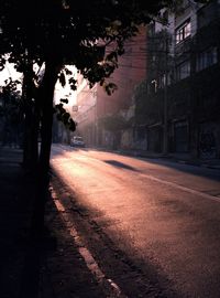 Road by trees