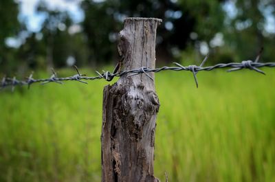 Close-up of barbed wire fence on field