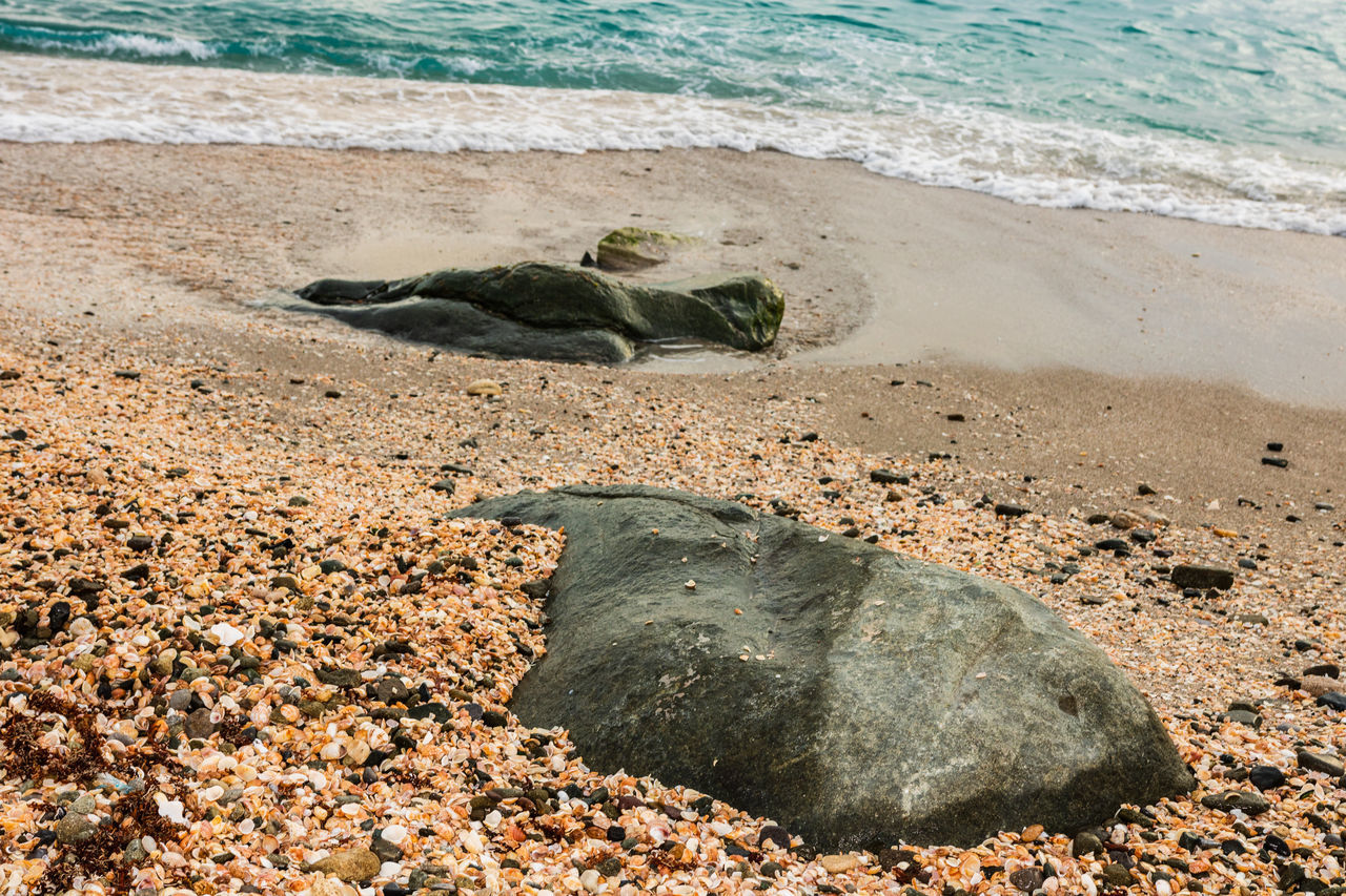 HIGH ANGLE VIEW OF ANIMAL ON SHORE