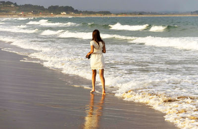 Rear view of man standing on beach