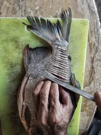 Close-up high angle view of human hand preparing fish