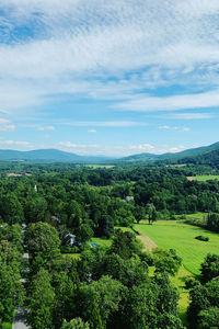 Scenic view of trees on field against sky