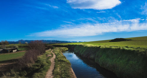 Scenic view of field against blue sky