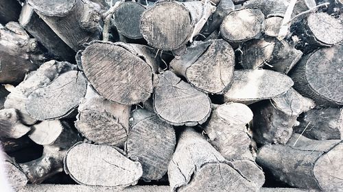 Full frame shot of logs