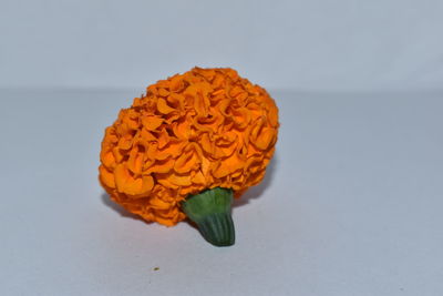 High angle view of orange flower on table