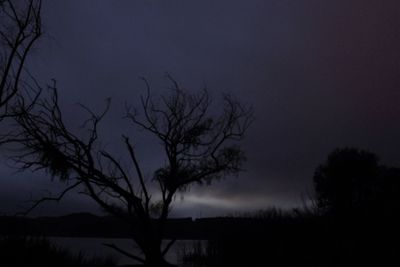 Silhouette bare tree against sky at night