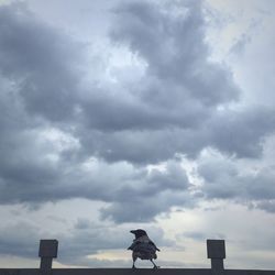 Low angle view of cloudy sky