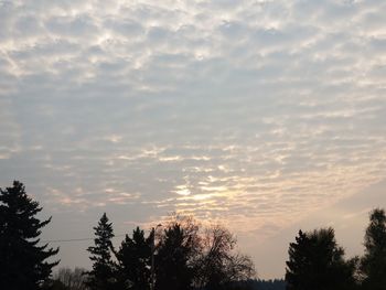 Low angle view of silhouette trees against sky at sunset