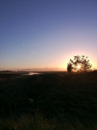 Silhouette trees on field against clear sky during sunset