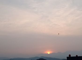 Silhouette birds flying in sky during sunset