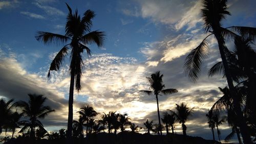 Silhouette palm trees against sky during sunset