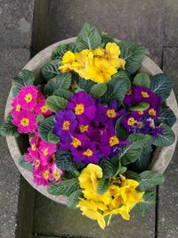 Close-up high angle view of flower bouquet