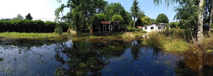 Reflection of trees and buildings in lake