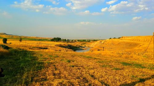 Scenic view of field against sky