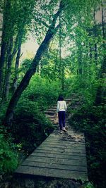 People walking on footpath in forest