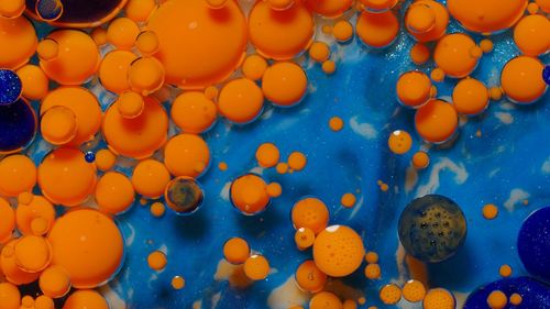 Full frame shot of orange eggs in sea