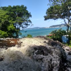 Close-up of rocks on land against sky