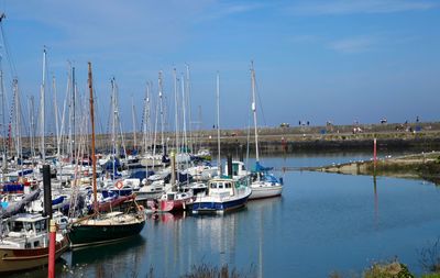 Sailboats moored in harbor