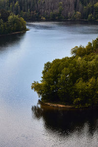 Scenic view of lake in forest