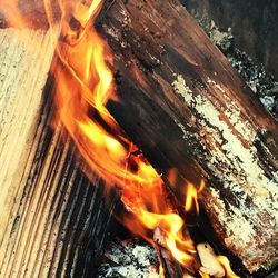 Close-up of bonfire at night