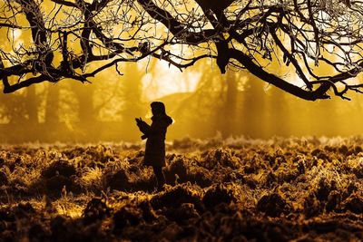 Silhouette of man photographing against sky