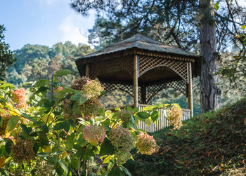 Flowering plants and trees by building against sky