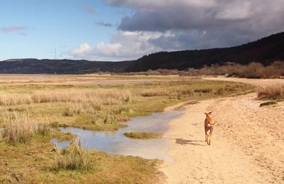 Scenic view of mountains against cloudy sky