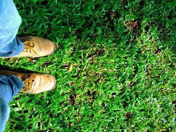 Low section of man standing on grass