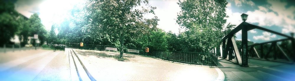 Road passing through trees