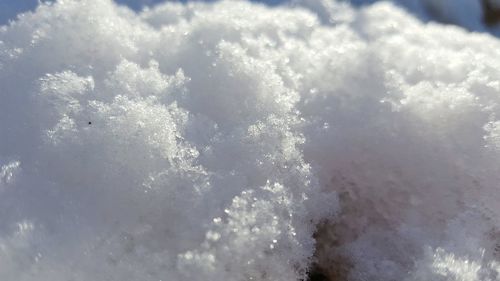 Low angle view of sea against sky