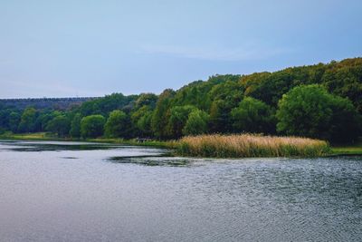 Scenic view of lake by trees against sky