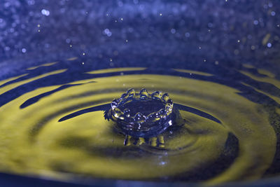 Close-up of drop falling on water