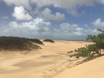 Scenic view of desert against sky