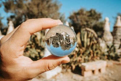 Close-up of person holding ice cream