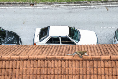 View of a car on road