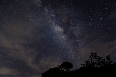 Low angle view of trees against sky at night