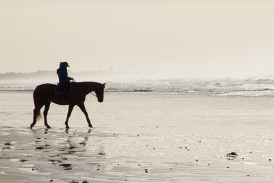 Woman riding horse at beach against sky