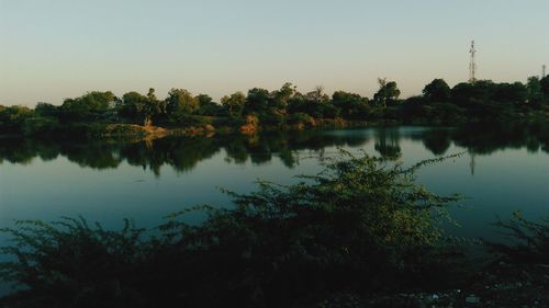 Reflection of trees in calm lake