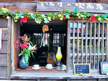 Potted plants hanging in shop