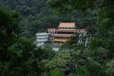 View of building by trees in forest