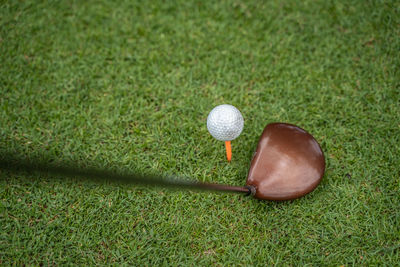 High angle view of ball on plant