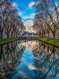 Reflection of trees in water