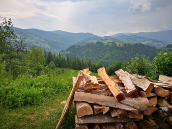 Stack of logs on field in mountains against sky