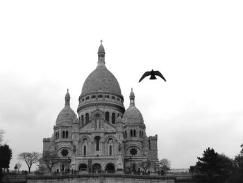 Low angle view of a bird flying against sky