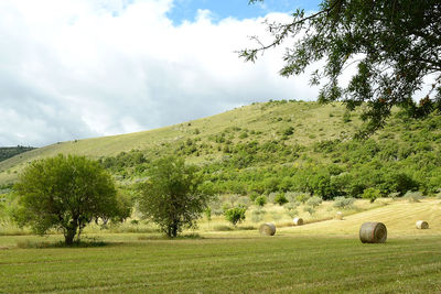 Scenic view of grassy field against cloudy sky