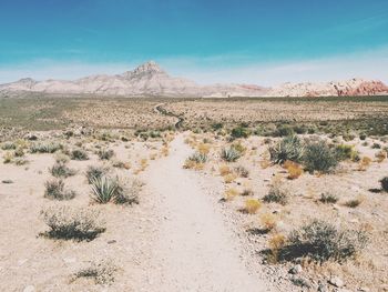 Scenic view of landscape against blue sky